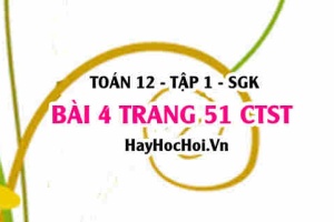 Bài 4 trang 51 Toán 12 tập 1 Chân trời sáng tạo